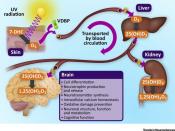 Role of Vitamin D in neuropsychiatric illness