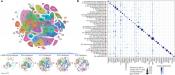 Tracking the organ development using single cell transcriptome analysis