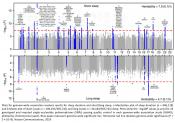 Gene regions associated with sleep duration identified