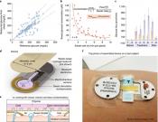 Continuous-monitoring device using sweat for biochemical analysis
