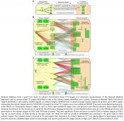 &#039;Network walking&#039; charts transcriptional dynamics in plants in response to nitrogen supply 