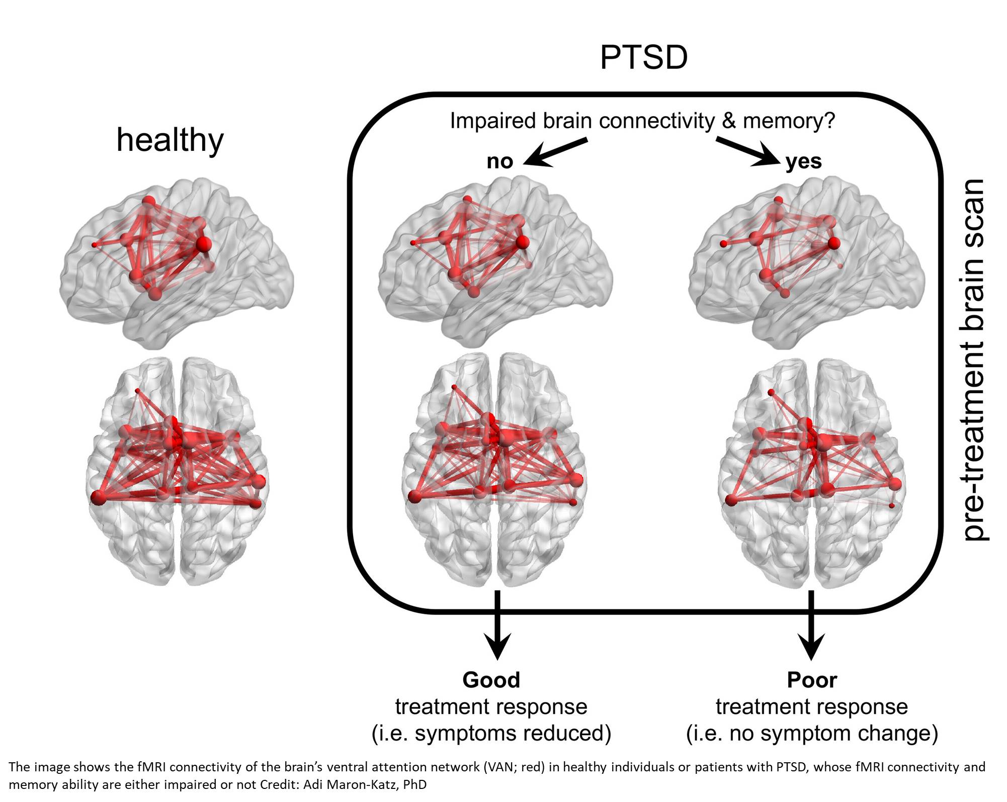 Why certain PTSD patients unresponsive to behavioral therapy