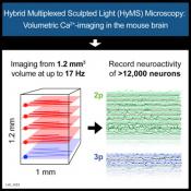 Hybrid multiplexed sculpted light microscopy (HyMS) to capture biological changes deep inside the brain