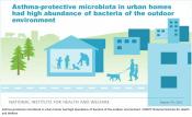 Farm-like indoor microbiota may protect children from asthma also in urban homes