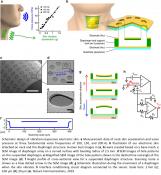 A wearable electronic skin for quantitative vocal recognition