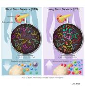 Bacterial diversity in pancreatic tumor influences patient survival