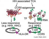 Epigenetic mechanisms control HIV susceptibility