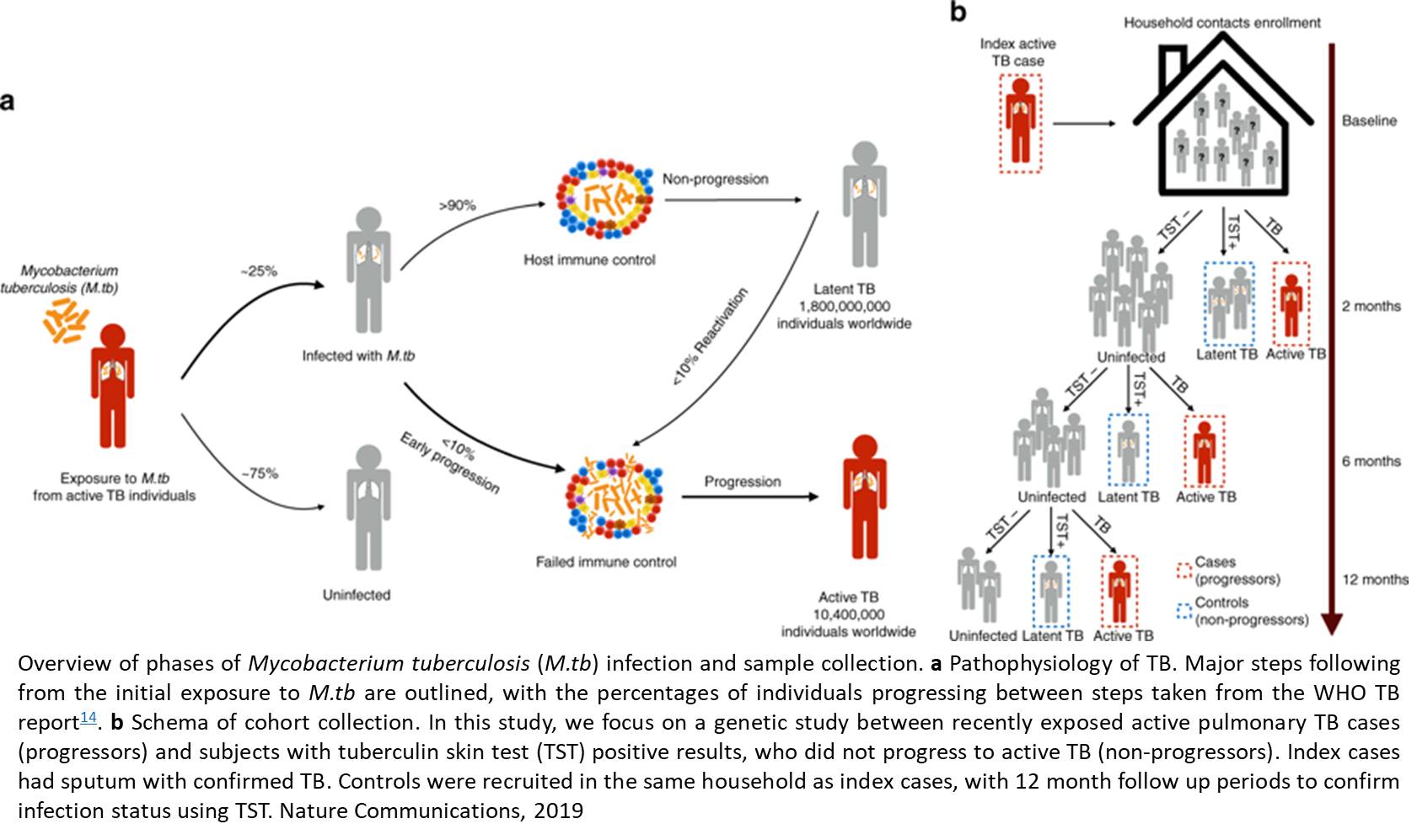 Genetics of early progression in TB 