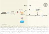 Linking nicotine addiction to increased risk for diabetes via brain-pancreas signaling axis
