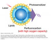 Improved photodynamic therapy to kill cancer cells