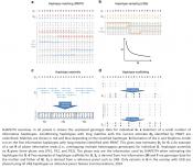 Accurate, scalable and integrative haplotype estimation