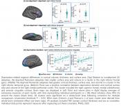 Brain size and structural changes in deprived to children 