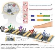 A diagnostic sensor to detect Alzheimer&#039;s proteins from blood 