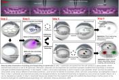 Aspiration assisted printing spheroids for drug discovery