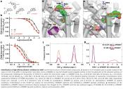 A new antidepressant binding to allosteric site of serotonin transporter identified!