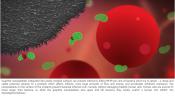 Graphite nanoplatelets on medical devices kill bacteria and prevent infections