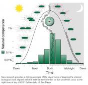 Importance of aligning biological clock with day-night cycles in cyanobacteria