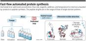 Automated flow synthesis of proteins in the lab
