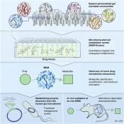 Unique and Personalized Drug Metabolism by the Human Gut Microbiome