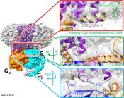 Activated dopamine receptor structure solved! &nbsp;