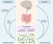 Gut bacterial neurotransmitter modulates host behaviour!