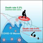 Statin use is linked to lower death rate in hospitalized COVID-19 patients