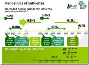 Swine influenza virus with pandemic potential