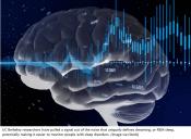Brain noise contains unique signature of dream sleep