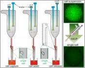 Single Cell Pipet