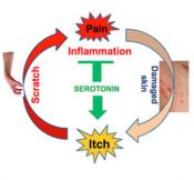 Itching mechanism