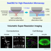 Super-clear synapses at super resolutions