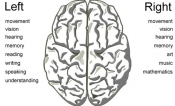 Right hemisphere structures predict poststroke speech fluency