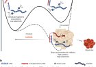 Supramolecular anticoagulants with on-demand reversibility