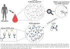Autoantibody patterns in patients with rheumatoid arthritis