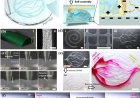 Microfluidic systems resembling blood vascular tissues