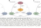 Link between dietary choices and brain health