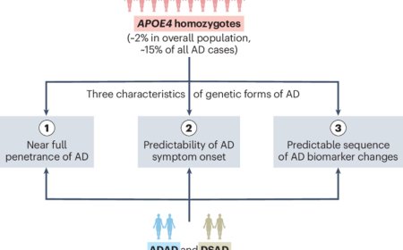 All individuals with two copies of the APOE4 gene develop signs of Alzheimer's
