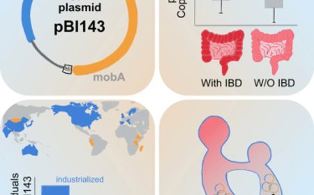 A cryptic plasmid in the human gut as biomarker for intestinal diseases