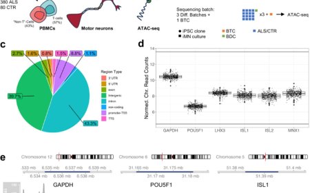 Genomic regions with epigenetic modifications linked to ALS progression identified!