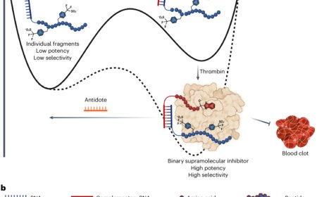 Supramolecular anticoagulants with on-demand reversibility