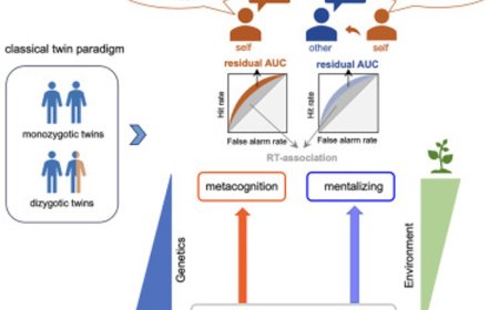 More influence of environment than genetics in metacognitive abilities