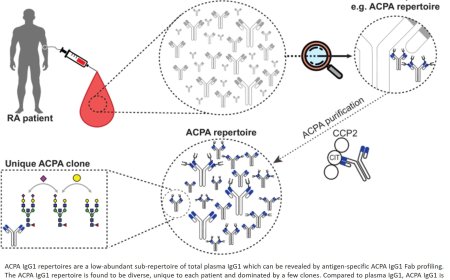 Autoantibody patterns in patients with rheumatoid arthritis
