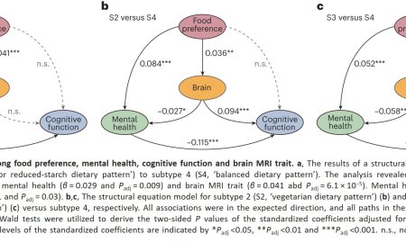 Link between dietary choices and brain health