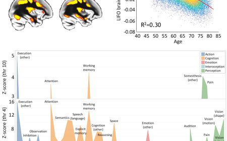 Risk factors for faster aging in the brain