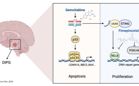 Combination therapy to treat glioma