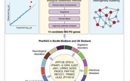 Genetic link between  Parkinson's and inflammatory bowel disease