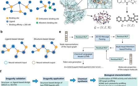 AI designs new drugs based on protein structures