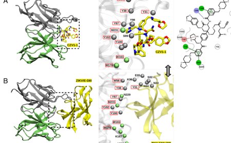 Shared EEG correlates between non-REM parasomnia experiences and dreams