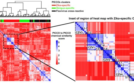 Identification and characterization of a nonbiological small-molecular mimic of a Zika virus conformational neutralizing epitope