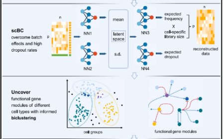 Single-cell biclustering for cell-specific transcriptomic perturbation detection in AD progression